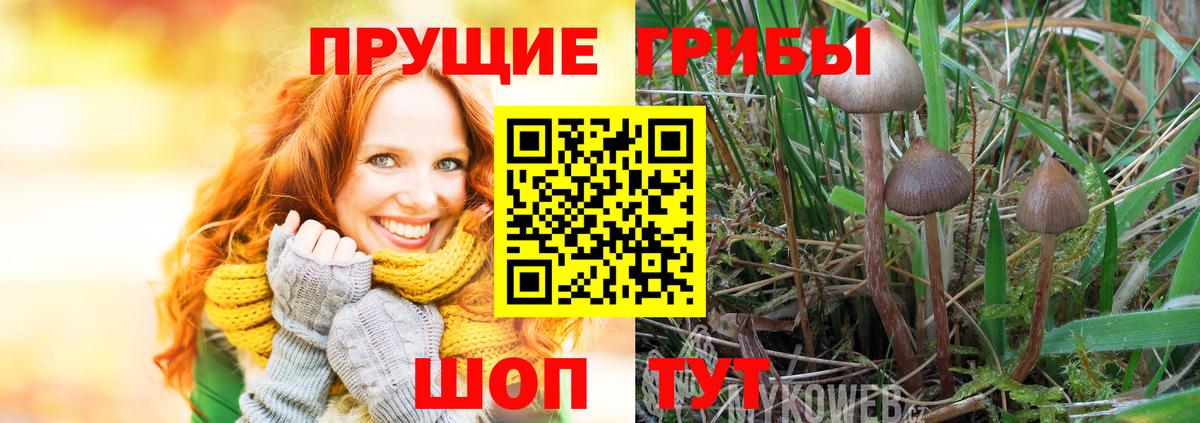 Галлюциногенные грибы мухоморы  Галлюциногенные грибы прущие грибы  Похвистнево  Вход с VPN 